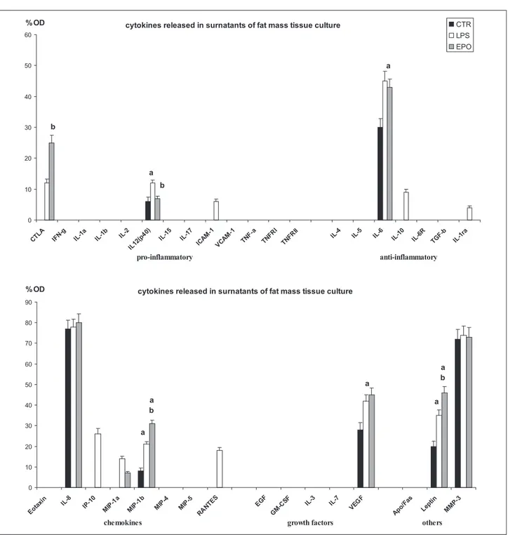 Figure 2.  Bar graphs showing the results of semi-quantitative analysis of visible dot spot.