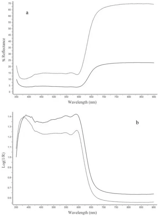 Fig. 8. FORS spectra (solid line: darker area; dotted line: paler area) from f. 190v of the parchment of Coronation Gospels: a) reﬂectance; b) apparent absorbance.
