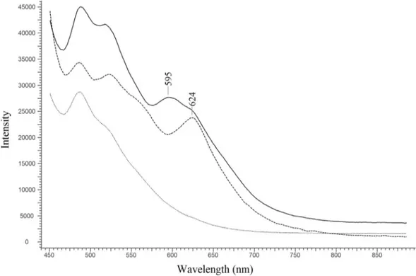 Fig. 2. Fluorimetry spectra of folium (solid line) and orchil (dashed line); the spectrum of parchment (dotted line) is also reported.