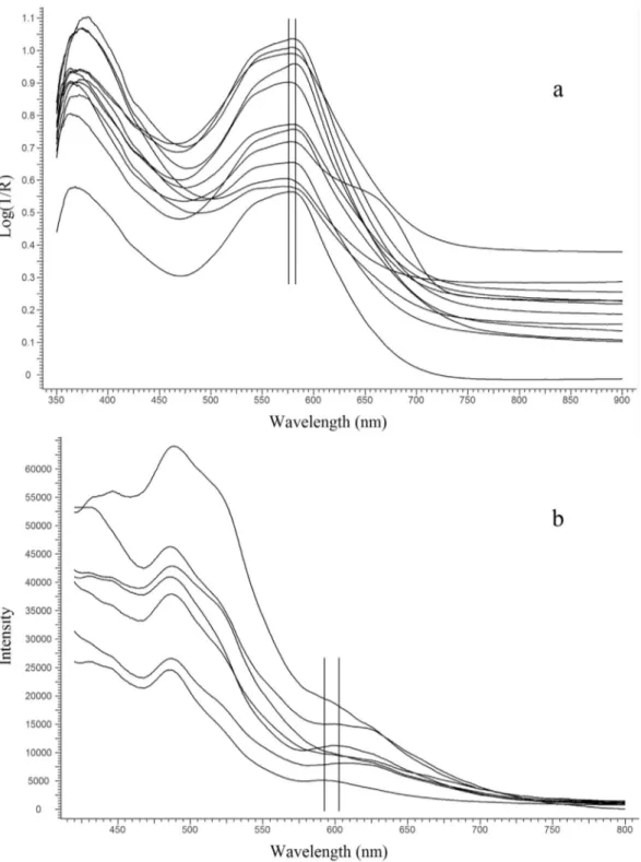 Fig. 3. (a) FORS in Log(1/R) coordinates and (b) ﬂuorimetry spectra from purple and blue painted areas containing folium in a selection of the manuscripts analysed in this study; vertical bars deﬁne the range of variability of (a) the second absorption max