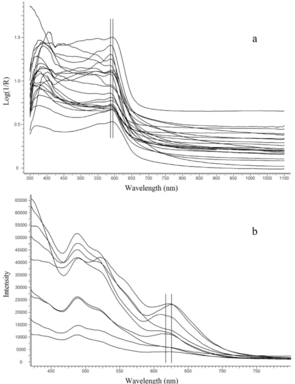 Fig. 5. (a) FORS in Log(1/R) coordinates and (b) ﬂuorimetry spectra from purple areas containing orchil in a selection of the manuscripts analysed in this study; vertical bars deﬁne the range of variability of (a) the second absorption maximum and (b) the 