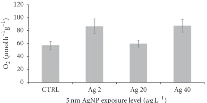 Figure 1: Effects of 5 nm AgNP on average B. pharaonis respiration rates (RR). Shown is the normalized average (±SEM) respiration rate