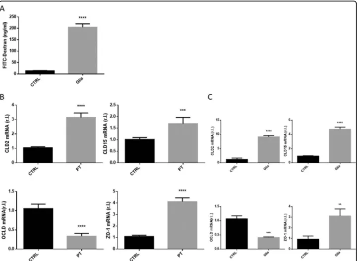 Fig. 4 Intestinal barrier permeability. S.i. permeability was evaluated in mice unexposed or exposed 4 weeks to gliadin (Glia), by means of FITC- FITC-Dextran released in the plasma (A)