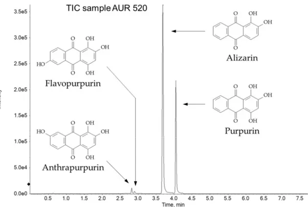 Figure 6. Total ion current chromatogram of the purple threads of AUR 520. 