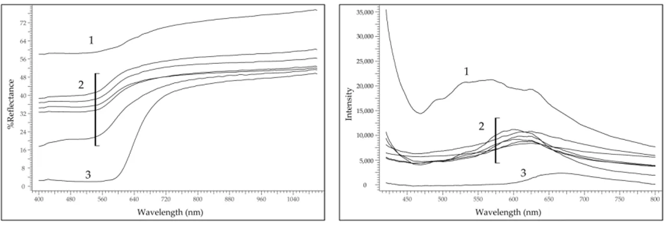 Figure 3. (a) FORS spectra from purple threads; (b) molecular spectrofluorimetry with fibre optic  (FOMF) spectra from purple threads