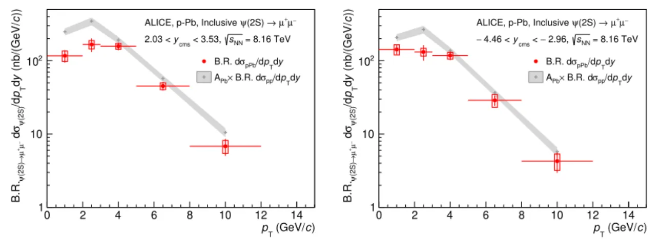 Figure 3. The differential cross sections B.R. ψ(2S)→µ + µ − d 2 σ ψ(2S) /dydp T for p-Pb collisions at