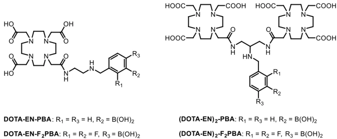 Figure 1. Structures of monomeric (DOTA-EN)- and dimeric (DOTA-EN) 2 -phenylboronic com-