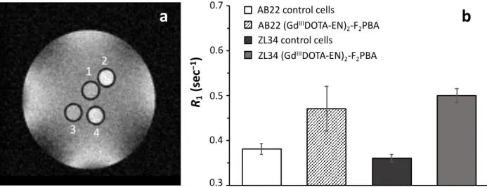 Figure 6. Evaluation of the bound (Gd III -DOTA-EN) 2 -F 2 PBA complex upon incubation with AB22 