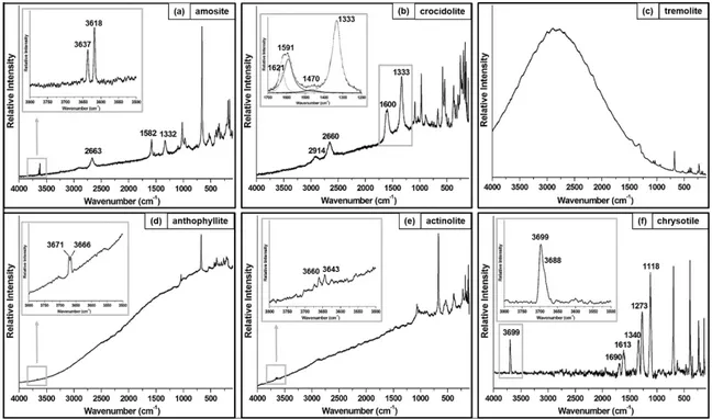 Figure 4. Raman spectra of the 4000–100 cm −1  range obtained on the six regulated asbestos minerals:  (a) amosite; (b) crocidolite; (c) tremolite; (d) anthophyllite; (e) actinolite; (f) chrysotile