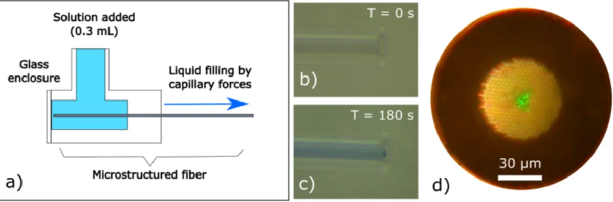 Figure 2. Fiber filling experiments: (a) schematic of sample loading into a prepared fiber that is encased in a glass enclosure