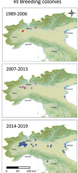 Figure 4.  Sacred ibis presence at breeding colonies in the period from 1989–2019: (a) total number of pairs, 