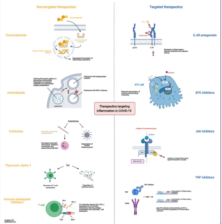 Figure 1. Therapeutics targeting in ﬂammation in COVID-19.