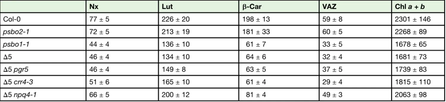Table 1. Levels of Leaf Pigments in Light-Adapted Mutant and Col-0 Plants at the Eight-Leaf Rosette Stage.