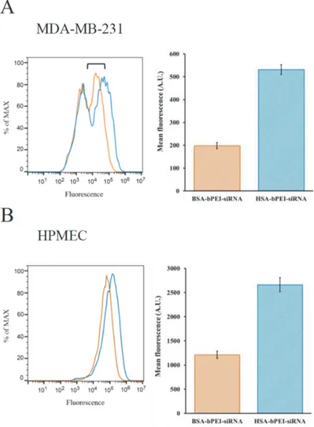 Fig 6. Uptake efficiency comparing complexes formed with BSA and HSA. Uptake efficiency was evaluated by FACS