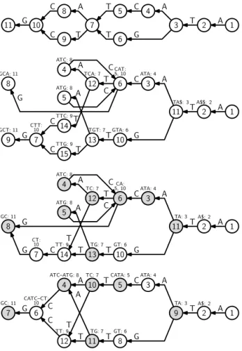 Fig. 9. Top: A DFA. Second: A 3rd-order de Bruijn graph for path labels in the DFA. Node labels indicate node ordering in the Wheeler graph