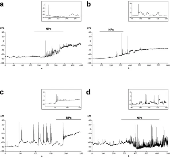 Figure 3.  Four examples of the changes in electrical activity recorded from single cells in response to 
