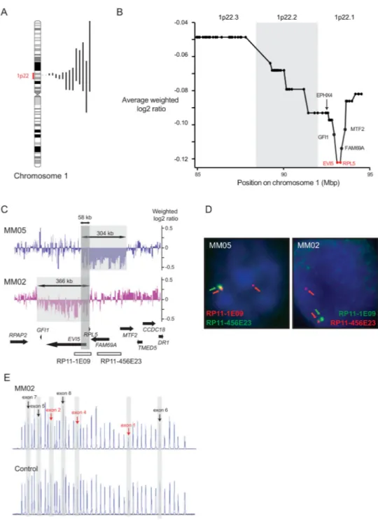 Figure 1. Genetic analysis of chromosomal region 1p22 reveals RPL5 and EVI5 as candidate  tumor suppressors