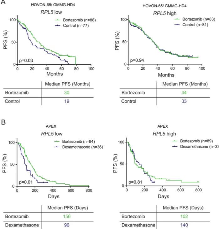 Figure 5. RPL5 expression levels are associated with the benefit of bortezomib on PFS