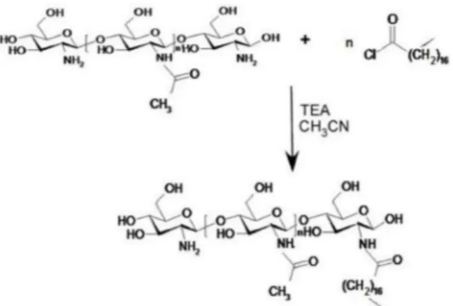 Figure 1. Stearoyl chitosan (ST-CS) synthesis scheme. Chitosan (CS) and different amounts of stearoyl chloride (corresponding to 30% and 50% of the number of amino groups present on native CS) were added to CH 3 CN and triethylamine and kept in an ultrasou