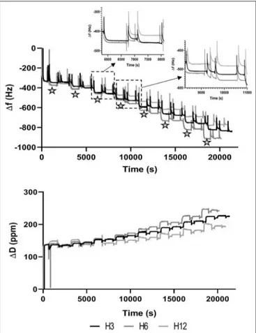 FIGURE 1 | Plot of the fifth overtone of 1f (A) and 1D (B) vs. time. Stars indicate events associated to the dipping step in Manuka Honey solution.