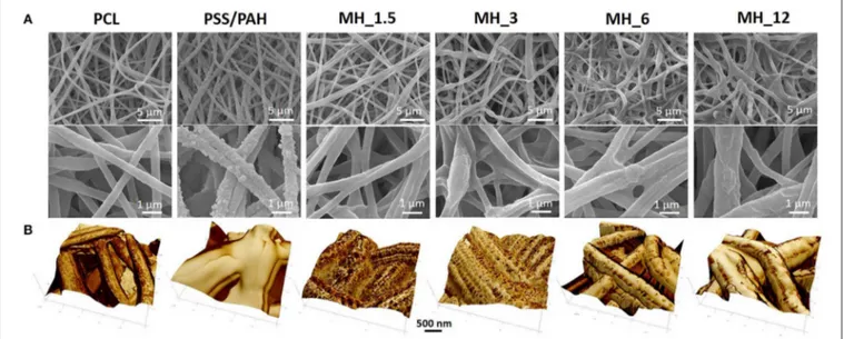 FIGURE 2 | (A) Scanning electron microscopy (SEM) and (B) atomic force microscopy (AFM) images of the electrospun membranes before and after LbL assembly functionalization.