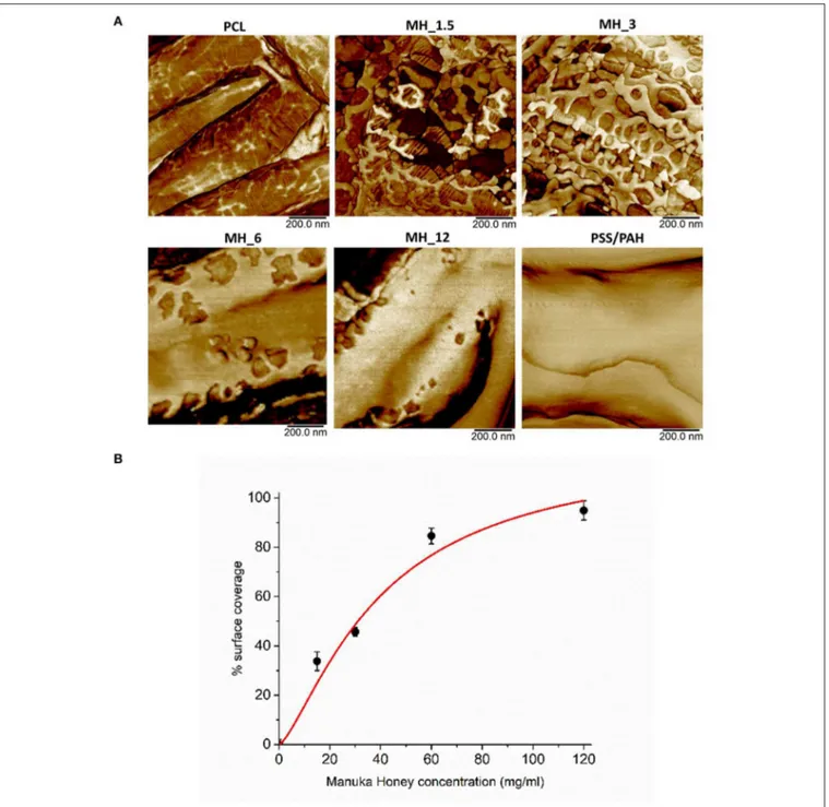 FIGURE 4 | (A) High-resolution atomic force microscopy (AFM) phase contrast images. (B) Analysis of MH coating coverage from high-resolution AFM images.