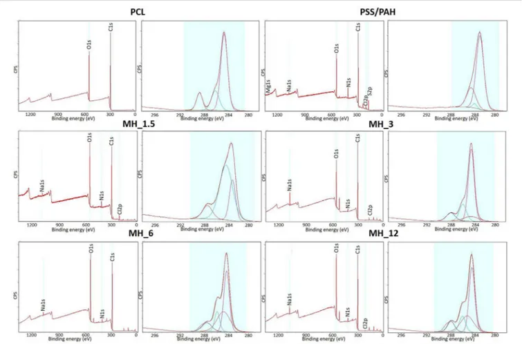 FIGURE 6 | X-ray photoelectron spectroscopy (XPS) survey spectra and high-resolution C1s spectra of the electrospun membranes before and after LbL assembly functionalization.