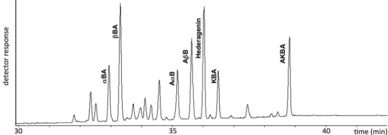 Fig. 2. Gas chromatogram of B. serrata gum resin extract (abbreviations as in Fig. 1 ).Table 1