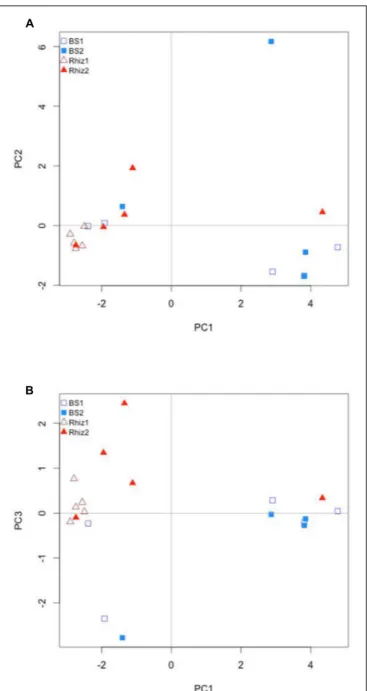 FIGURE 7 | Comparison by principal component analysis of the ecological distance (Bray–Curtis) of the different compartments (bulk soil, rhizosphere soil) and the different harvest time (flowering and early fruit development) of V