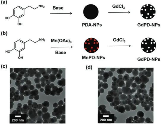 Figure 1.  Preparation of GdPD-NPs (Gd-i (i  = 1–5)): a) Postparticle formation doping strategy used to generate Gd-1