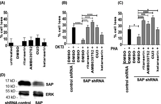 Fig. 8. DGK a inhibitors rescues RICD in SAP deﬁcient Jurkat cells. Jurkat T cells (control shRNA - and SAP shRNA ) were treated with ritanserin, AMB639752, CU-3 or ketanserin (1 m M) and plated on a 96 well ﬂat bottom plate previously coated with nothing 
