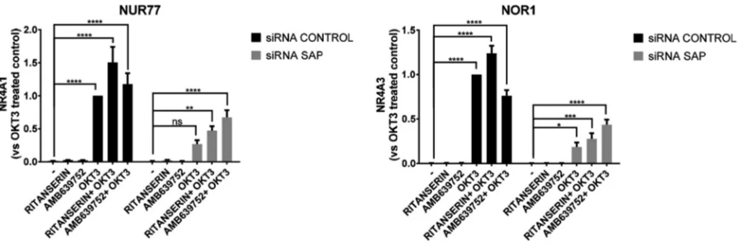 Fig. 10. DGK a inhibitors rescues Nur77 and Nor1 expression in SAP deﬁcient T cells. Lymphocytes from normal subjects were transfected with control or SAP speciﬁc siRNA