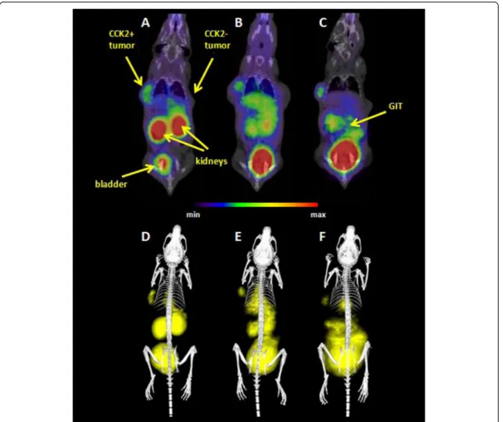 Fig. 4 Static μPET/CT images of [ 68 Ga]-AAZTA-MG in CCK+/ − tumour xenograft-bearing BALB/c nude mice 30 (a, d), 45 (b, e) and 60 (c, f) min p.i.; coronal slices (a, b, c) and 3D volume rendered images (d, e, f)