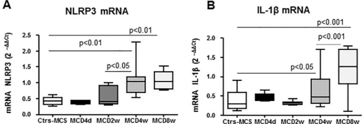 Fig 1. In vivo time-dependent analyses of inflammasome components, inflammatory cytokines and necrosis in MCD fed mice