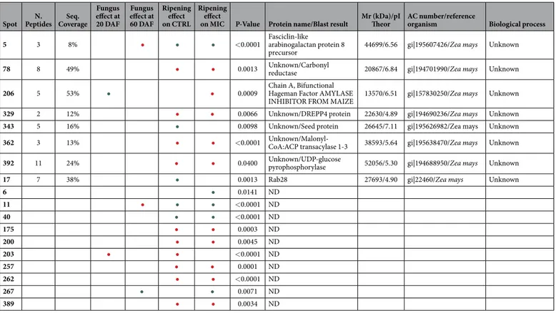 Table 2.   Information regarding modulated proteins spot number, number of identified peptides, sequence  coverage, optical density variation using colour code, ANOVA P-value, protein name and Blast results  when present, theoretical molecular weight and p