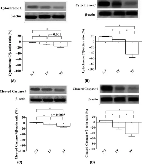 Fig. 7. Eﬀects of SMPL on retinal apoptosis in young (A, C) and old (B, D) mice. In (A, B) expression of cytochrome c; in (C, D), expression of cleaved caspase 9