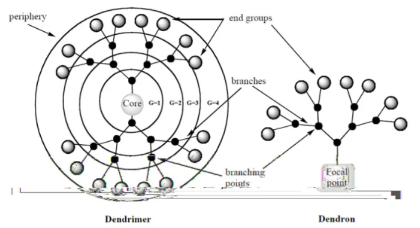 Figure 1.2: Schematic representation of dendrimers and dendrons.