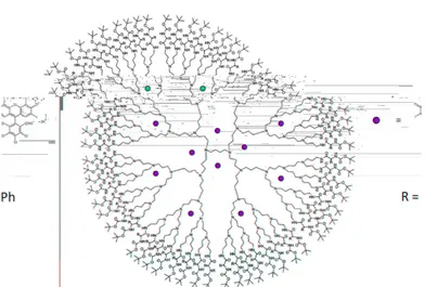 Figure 1.4: Dendritic box encapsulating rose bengal (from Meijer et al [8]).