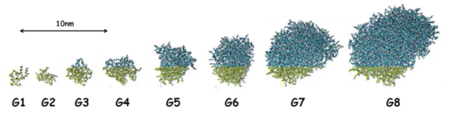 Figure 1.6: PAMAM dendrimers snapshots from MD simulations. From Goddard et al [14].