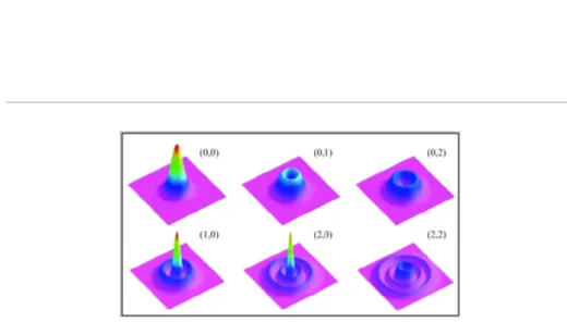 Figure 1.3 reports the wave-functions probability ψ 2