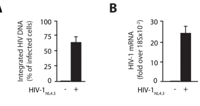 Figure 8. A) Quantification of integrated HIV-1 DNA by Real Time Alu PCR in activated 