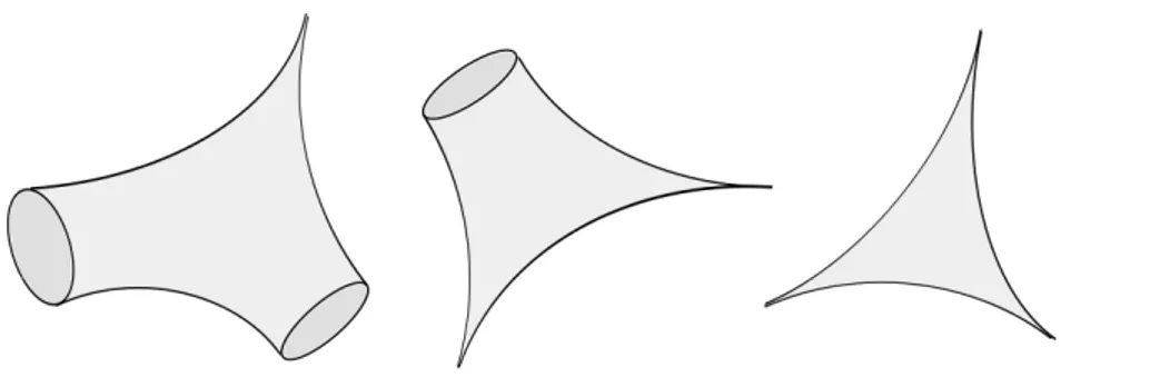 Figure 5.3: Degenerate pair of pants with one, two or three cusps. The last one is the unique complete hyperbolic metric with finite volume on the 3-punctured sphere.