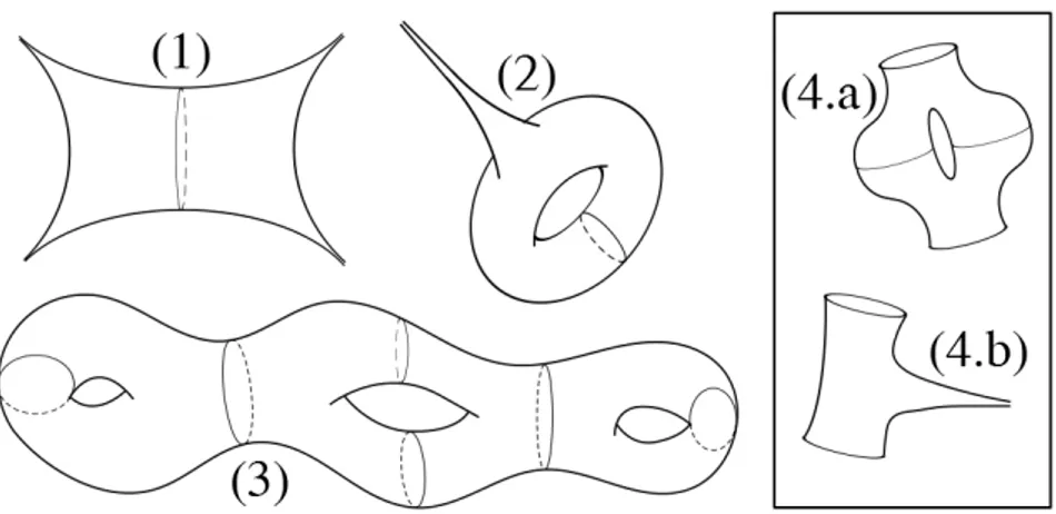 Figure 5.4: (1) It is represented a decomposition of the sphere with 4 holes in two pairs of pants with two cusps each