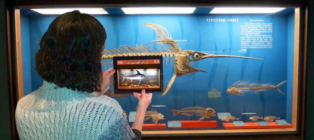 Figure 4.3: Augmented Reality Application at Smithsonian National  Museum of Natural History 