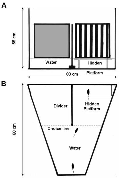 Figure 6. Schematic diagram of the visual water box task. A, Front view of the apparatus which is a 