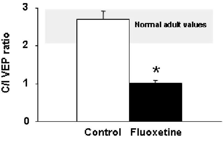 Figure 10. Reactivation of visual cortical plasticity in adulthood after chronic treatment with fluoxetine