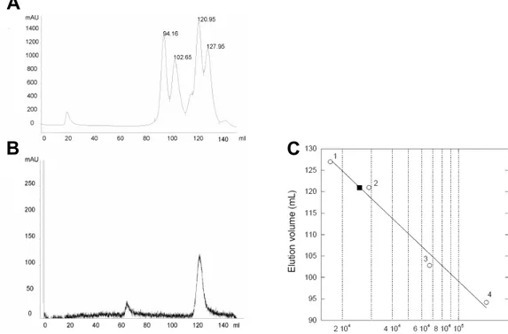 Figure 2.9. Size exclusion chromatography. Chromatograms (UV detection at 215  nm) of (A) the calibration standards and of (B) J1_tmic