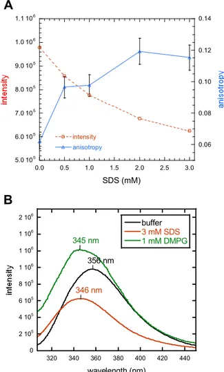Figure 2.13. Fluorescence spectroscopy.  (A): Tryptophan fluorescence anisotropy  and emission intensity of J1_ic (7.0 µM) in 5 mM Tris/HCl buffer, pH 7.4, in the  presence of increasing concentrations of SDS