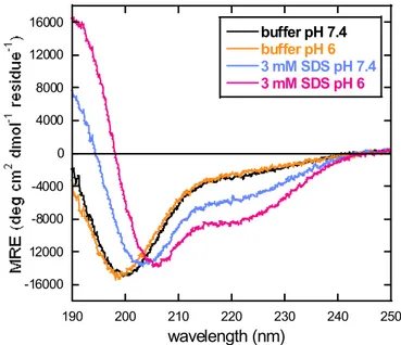 Figure 2.15. Circular dichroism in the presence of SDS – pH effect. Far-UV CD  spectra of J1_tmic (7.5 µM) in 5 mM Tris⁄HCl buffer, at different pH values (7.4 and  6.0) in buffer alone and in the presence of SDS (3 mM)