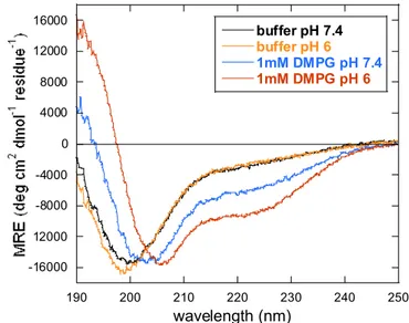 Figure 2.20. Circular dichroism in the presence of DMPG. Far-UV CD spectra of  J1_tmic (7.5 µM) in 5 mM Tris⁄HCl buffer and in the presence of DMPG (1 mM)  phospholipid vesicles at pH 7.4 and pH 6.0